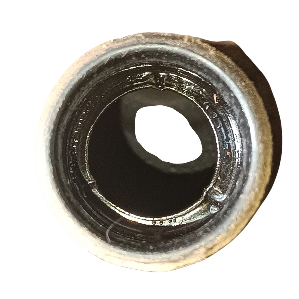 IMG_20240913_110507