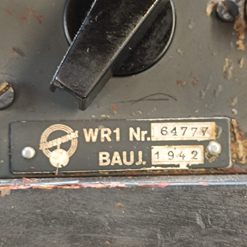 IMG_20241113_095844