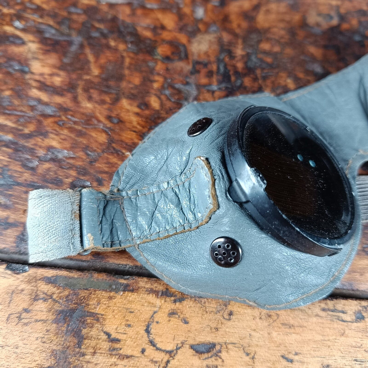 IMG_20241202_203449