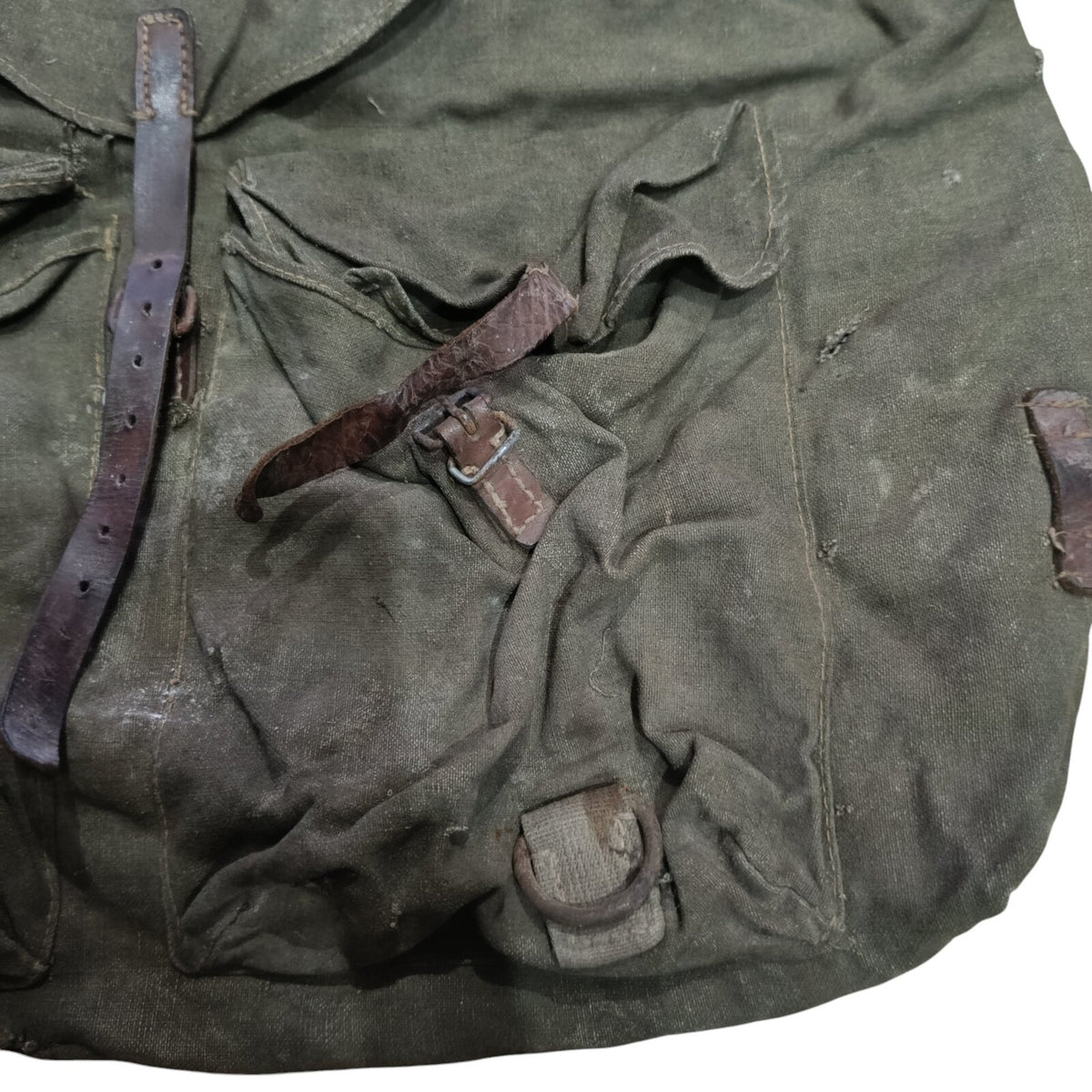 IMG_20250306_074350-Photoroom